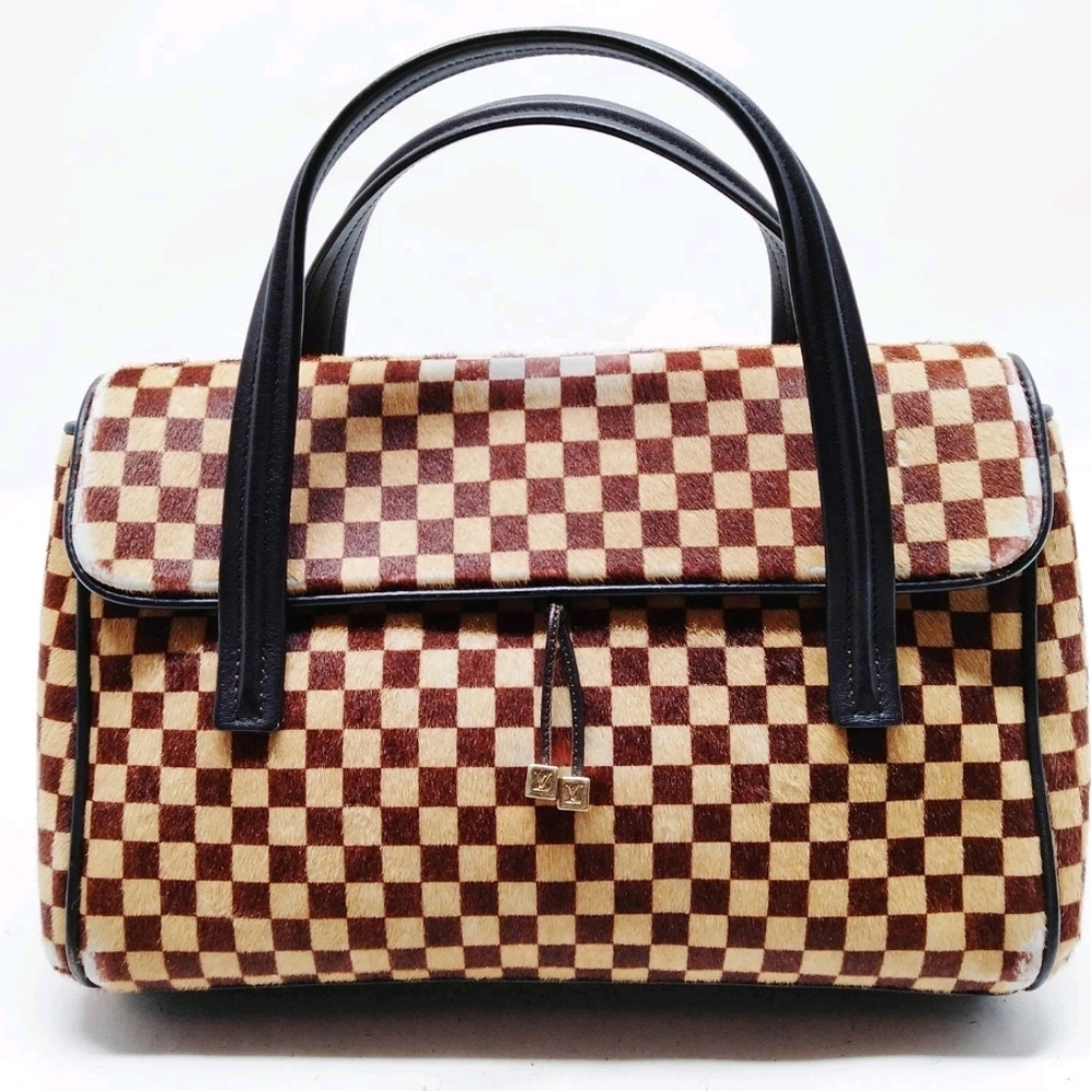 Louis Vuitton Damier Sauvage Pony Hair Handbag
